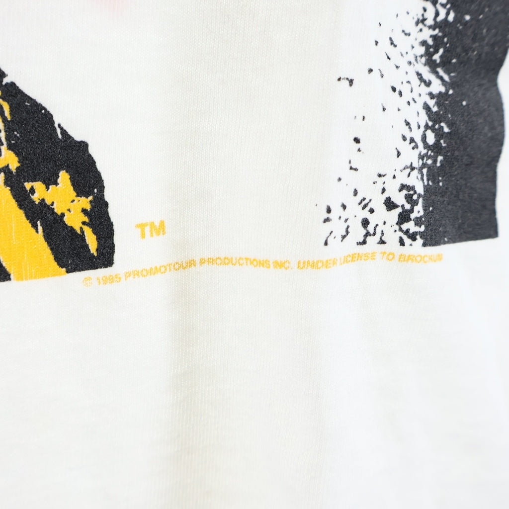 VINTAGE(ヴィンテージ) 90S VINTAGE THE ROLLING STONES VOODOO LOUNGE TOUR 94/95 TEE ヴィンテージ ローリングストーンズ USA製 スクリーンスターズ クルーネックTシャツ 半袖 カットソー