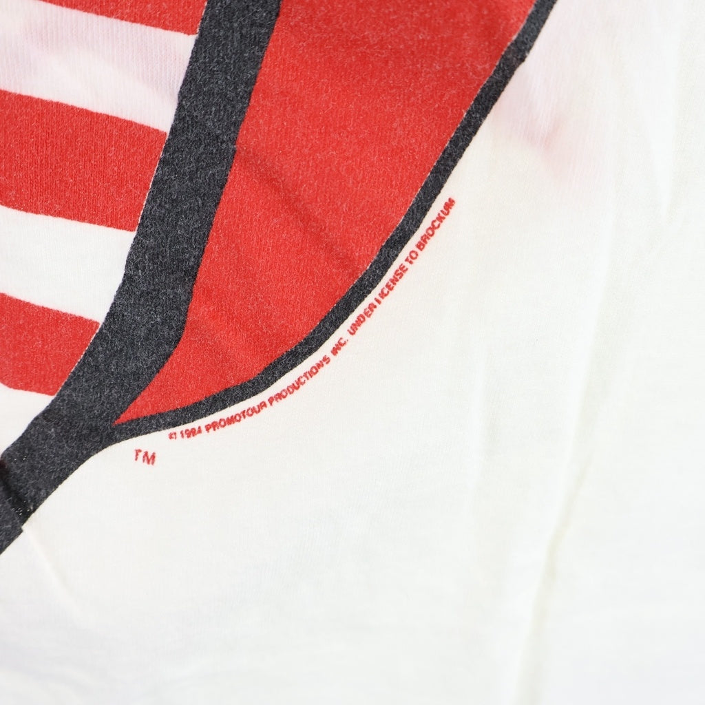 VINTAGE(ヴィンテージ) 90S VINTAGE THE ROLLING STONES VOODOO LOUNGE TOUR 94/95 TEE ヴィンテージ USA製 ブロッカム アメリカンフラッグ リップ&タン クルーネックTシャツ 半袖 カットソー