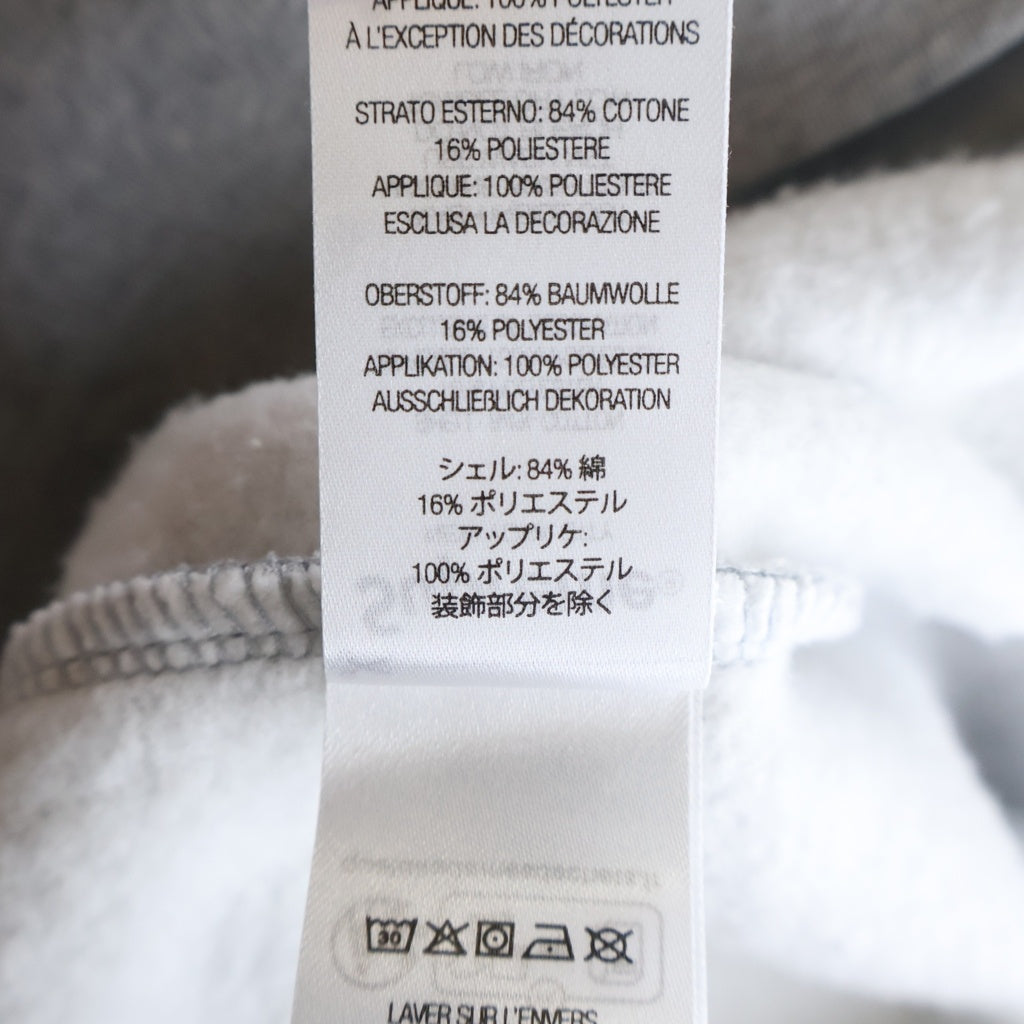 SUPREME(シュプリーム) 24AW Satin Applique Hooded Sweatshirt サテンアップリケ プルオーバースウェットパーカー フーディー グレー