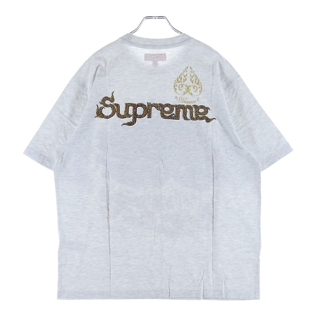 SUPREME(シュプリーム) 25AW Peacock S/S Top ピーコック グラフィックプリントTシャツ 半袖クルーネックカットソー グレー