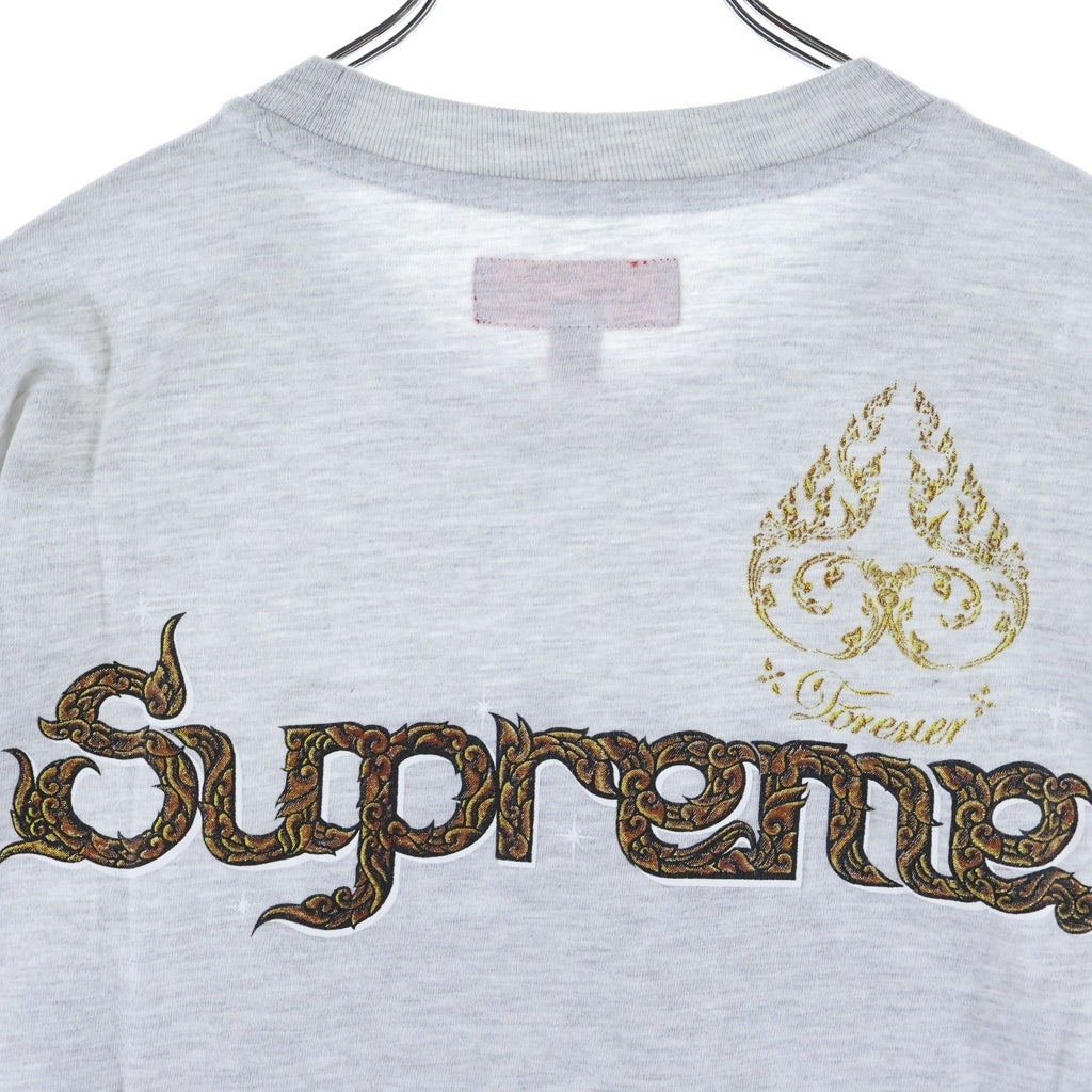 SUPREME(シュプリーム) 25AW Peacock S/S Top ピーコック グラフィックプリントTシャツ 半袖クルーネックカットソー グレー
