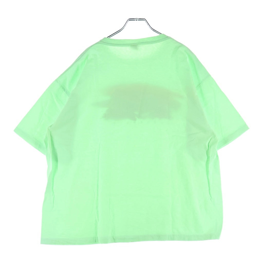PATAGONIA(パタゴニア) 90S VINTAGE BRUSH STROKE MOUNTAIN ヴィンテージ ブラッシュストロークマウンテン フロントプリント クルーネック半袖Tシャツ カットソー ライトグリーン
