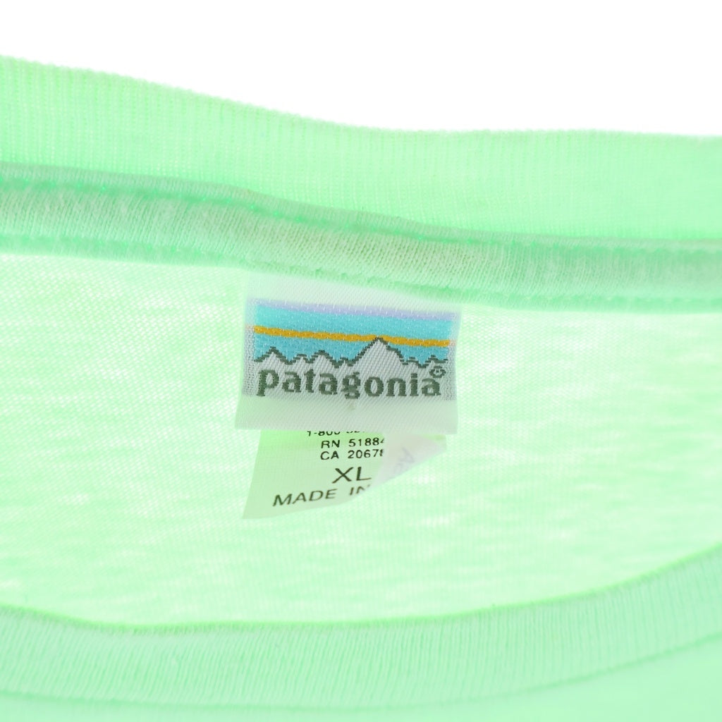 PATAGONIA(パタゴニア) 90S VINTAGE BRUSH STROKE MOUNTAIN ヴィンテージ ブラッシュストロークマウンテン フロントプリント クルーネック半袖Tシャツ カットソー ライトグリーン