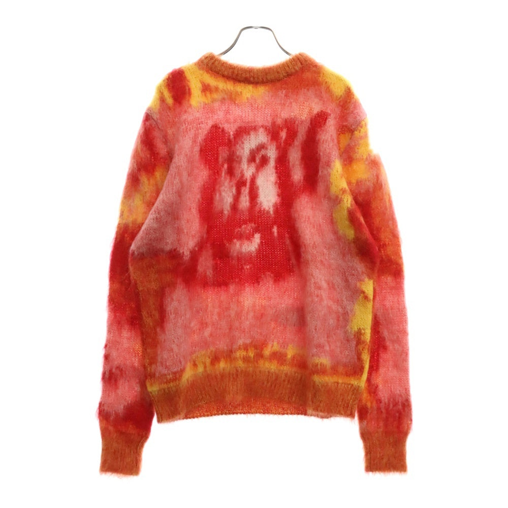 DIOR(ディオール) 21AW×PETER DOIG エアブラシライオン モヘア ニットセーター ピータードイグ レッド/オレンジ 143M645AT274