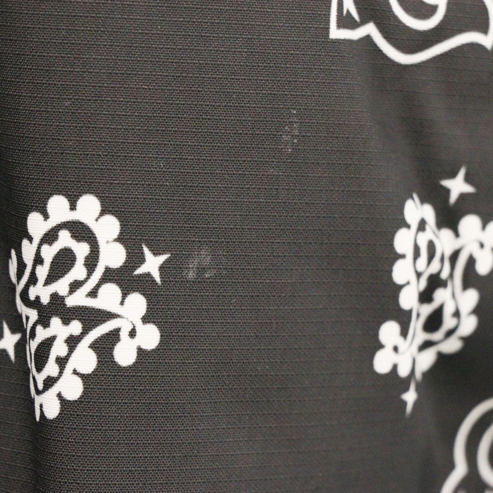 SUPREME(シュプリーム) 14AW×THE NORTH FACE Bandana Mountain Parka×ノースフェイス バンダナマウンテンパーカー ペイズリー柄 フーデッドジップアップブルゾン NP51400I