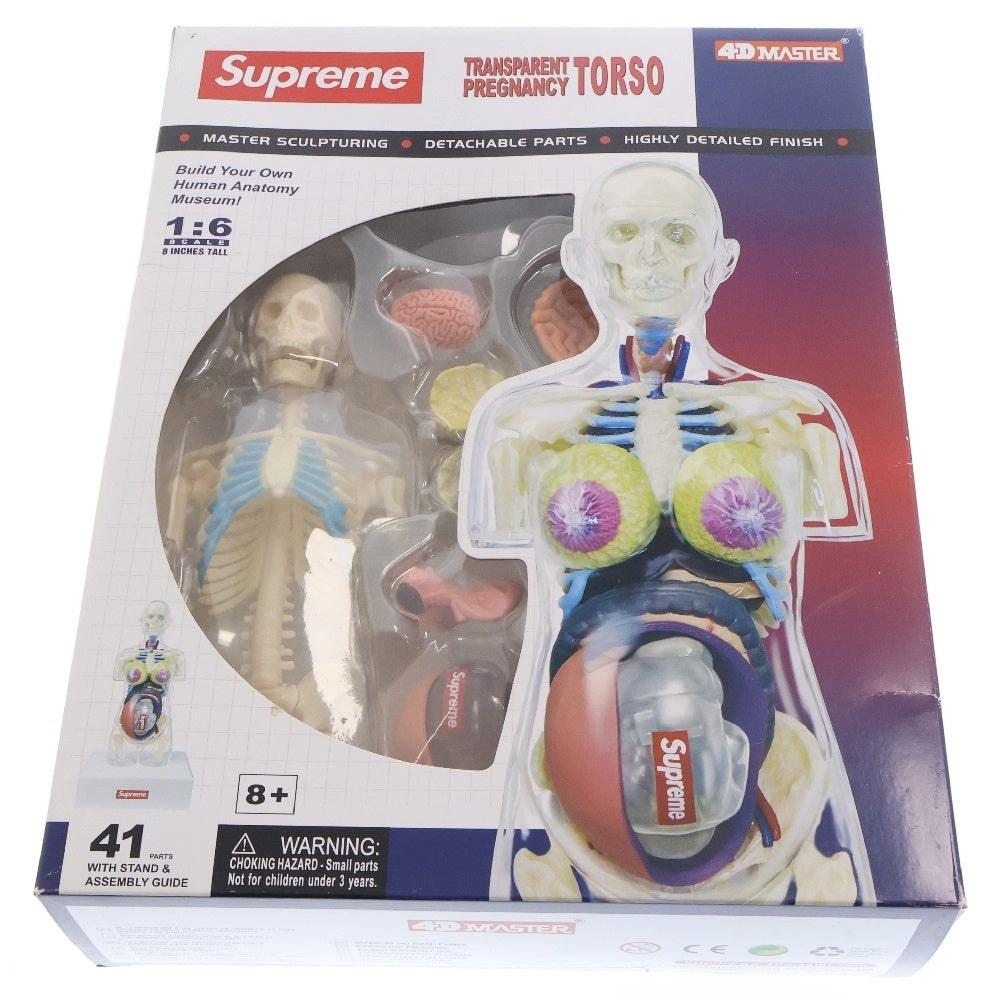 SUPREME(シュプリーム) 18AW Female Anatomy Model フェメイル アナトミーモデル 人体模型 トイ