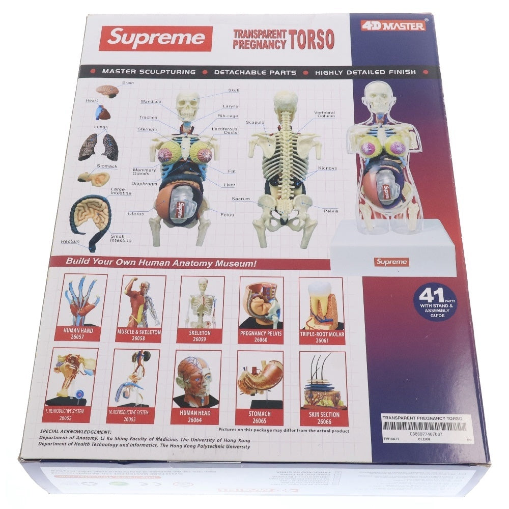 SUPREME(シュプリーム) 18AW Female Anatomy Model フェメイル アナトミーモデル 人体模型 トイ