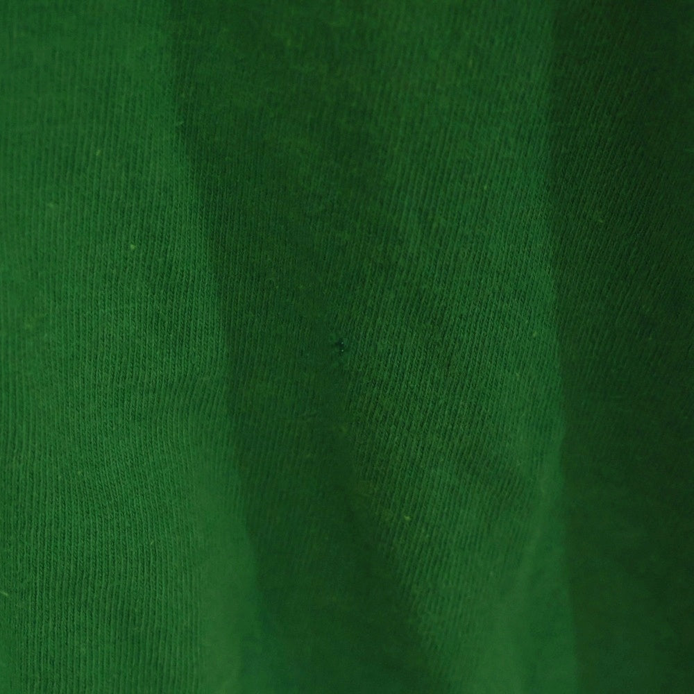 VINTAGE(ヴィンテージ) 00S The Legend Of Zelda ザ レジェンド オブ ゼルダ プリント クルーネック 半袖Tシャツ カットソー グリーン