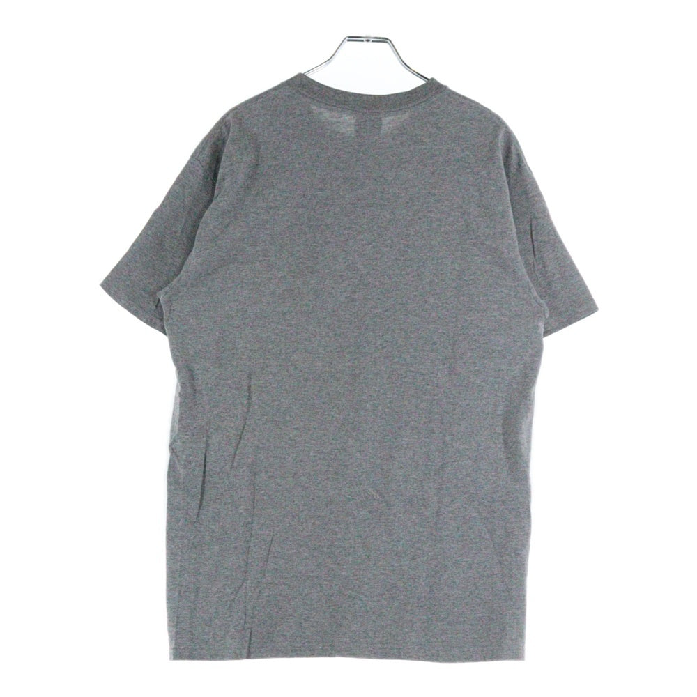 STUSSY(ステューシー) 00s OLD STUSSY KNOWLEDGE IS KING オールドステューシー グラフィックプリント クルーネック 半袖Tシャツ カットソー グレー