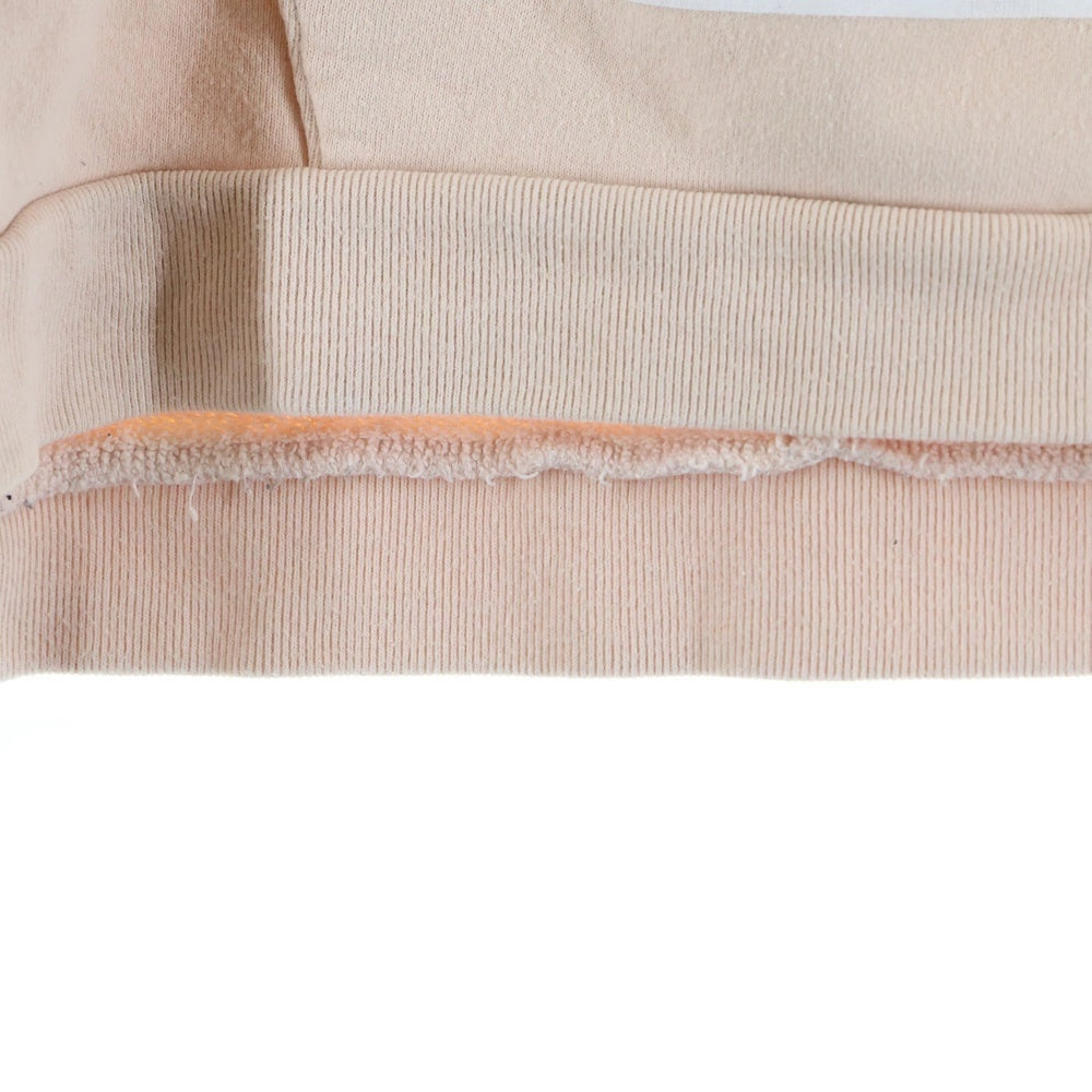 F-LAGSTUF-F(フラグスタフ) 17AW ネックジップ 両面プリント プルオーバーパーカー スウェットフーディ ピンク 2017AW-FS-18