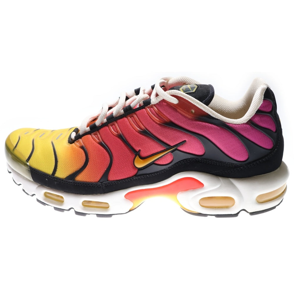 NIKE(ナイキ) AIR MAX PLUS OG GARDIENT エアマックスプラス グラディエント ローカットスニーカー マルチ US11/29cm DX0755-600