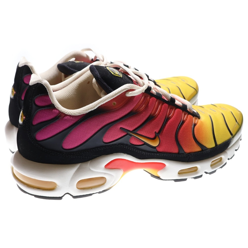 NIKE(ナイキ) AIR MAX PLUS OG GARDIENT エアマックスプラス グラディエント ローカットスニーカー マルチ US11/29cm DX0755-600