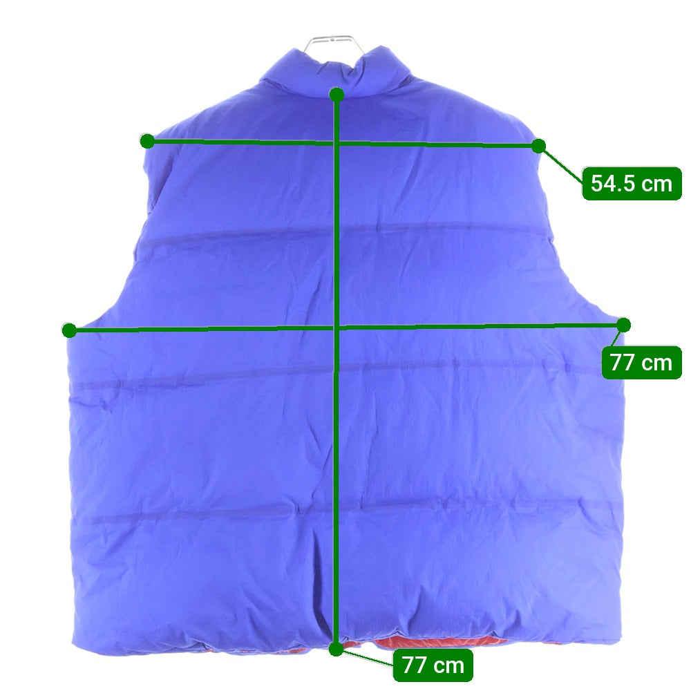 GUCCI(グッチ) ×THE NORTH FACE Down Vest ザ ノースフェイス ダウンベスト ジャケット ブルー 663761 XAACX
