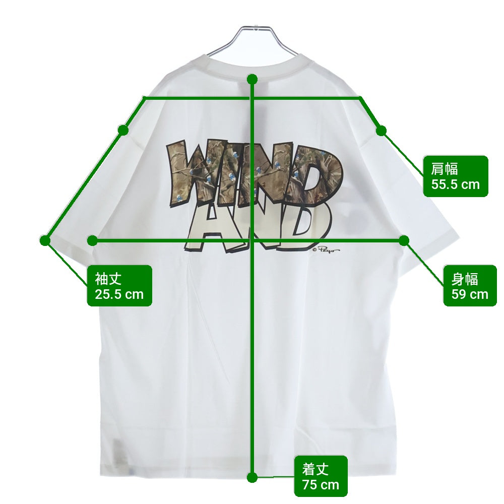 WIND AND SEA(ウィンダンシー) ×SMURF S/S TEE スマーフ プリント クルーネック 半袖Tシャツ カットソー ホワイト WDS-C-SMF-24-Q4-14