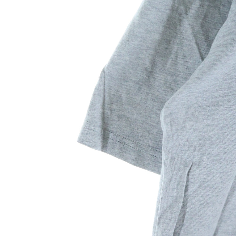 Palace Skateboards(パレススケートボーズ) Hesh Mit Fresh T-Shirt スネークロゴプリントクルーネック半袖Tシャツカットソー グレー