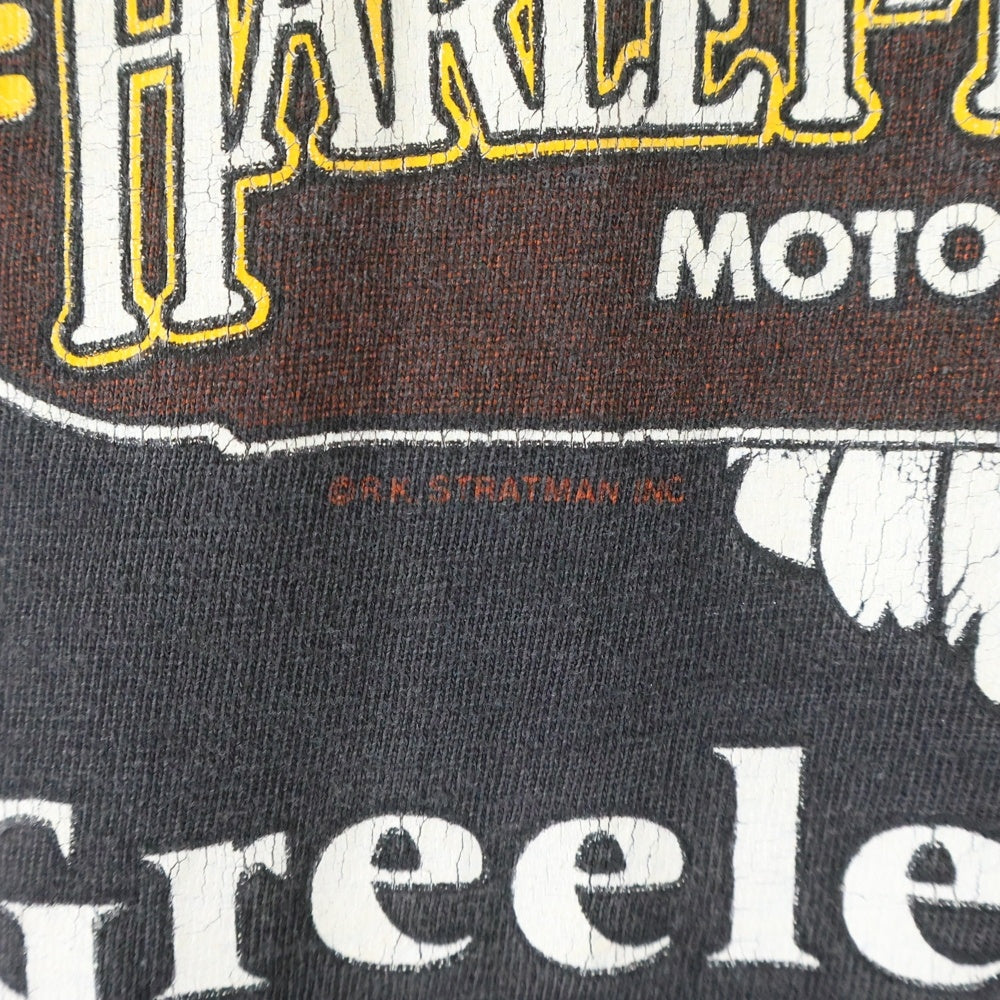 VINTAGE(ヴィンテージ) HARLEY DAVIDSON BLUE THUNDER ハーレダヴィッドソン ブルーサンダー 半袖Tシャツ カットソ- ブラック