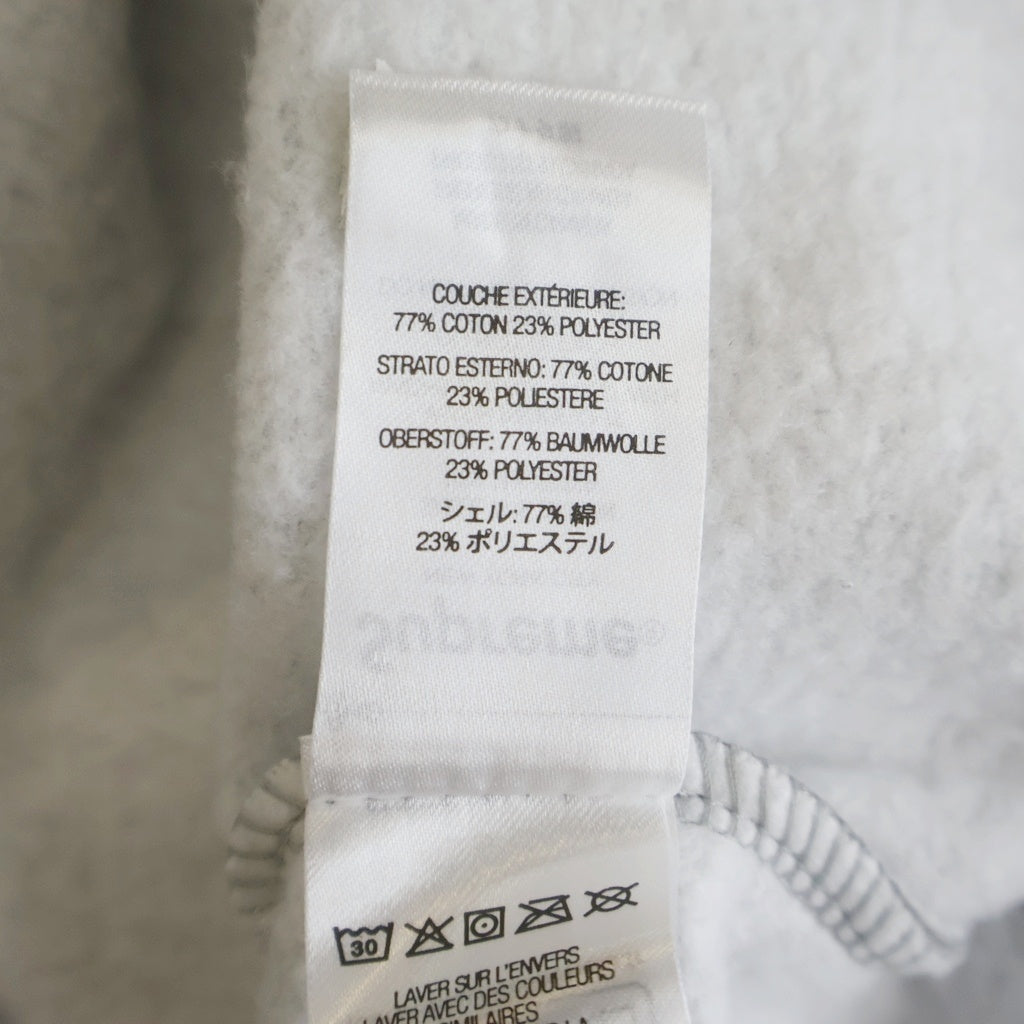 SUPREME(シュプリーム) 24SS Immortal Hooded Sweatshirt イモータル フーディー スウェットプルオーバーパーカー グレー