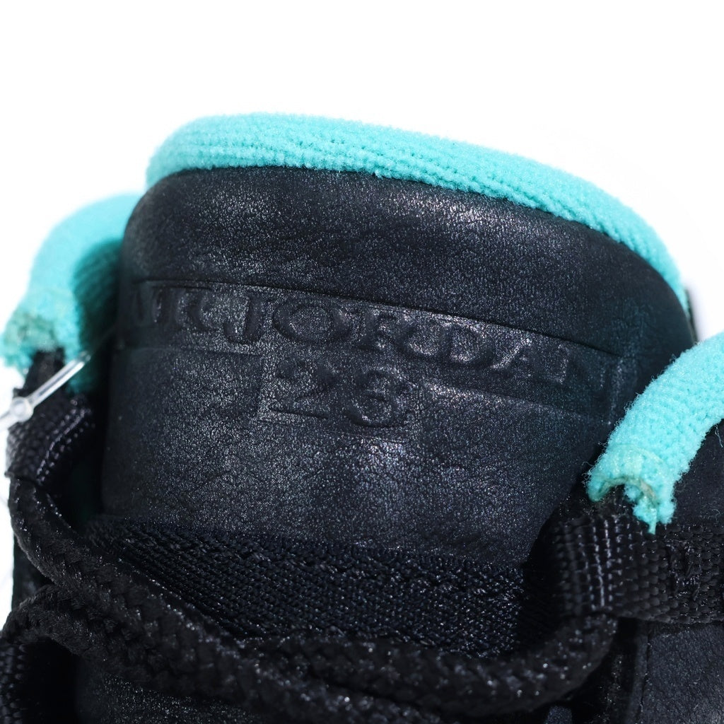 NIKE(ナイキ) 【観賞用 2014年製】 AIR JORDAN 10 RETRO Lady of Liberty ナイキ エアジョーダン10 レトロ レディー オブ リバティー ハイカットスニーカー グレー US11/29cm
