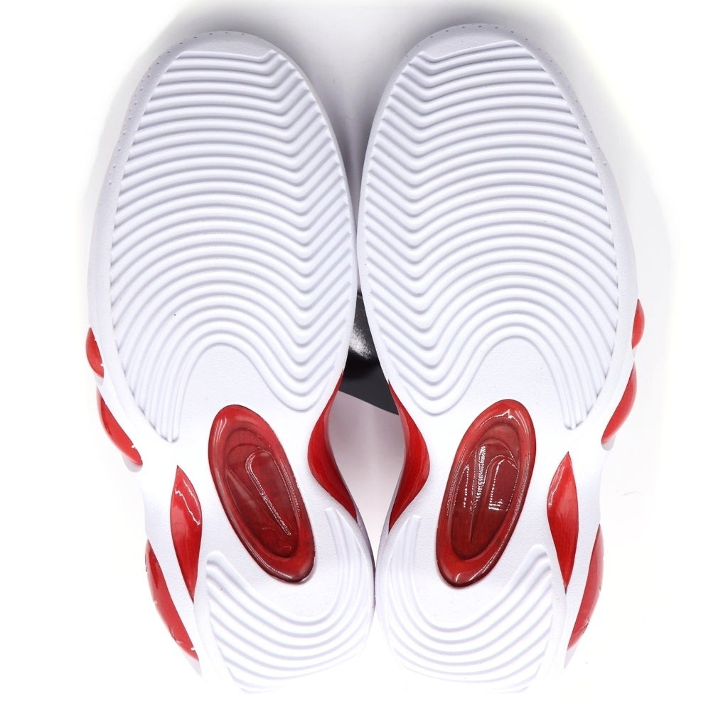 NIKE(ナイキ) AIR ZOOM FLIGHT 95 TRUE RED DX1165-100 エアズームフライト95 トゥルーレッド ハイカットスニーカー ホワイト/レッド US11/29cm