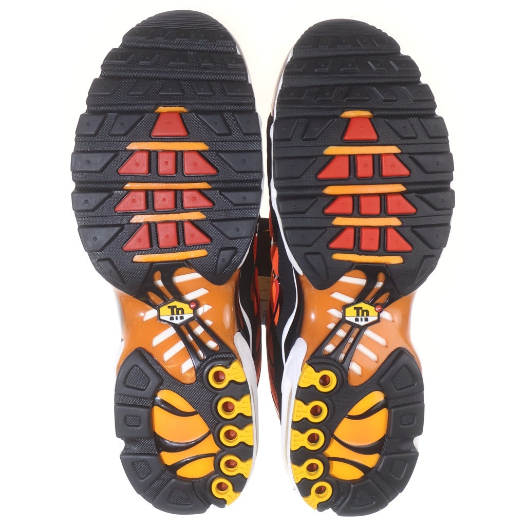 NIKE(ナイキ) AIR MAX PLUS SUNSET HF0552-001 エアマックスプラス サンセット ローカットスニーカー マルチ US11/29cm