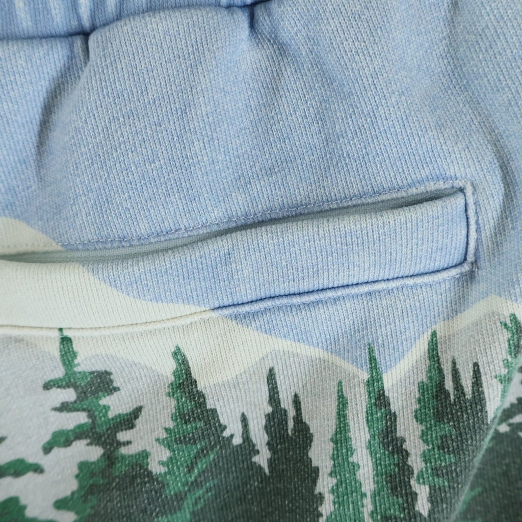 KITH(キス) Scenic Fleece Curtis Short フラワージャガート スウェット ショーツ ハーフパンツ ライトブルー/グリーン KHM060448
