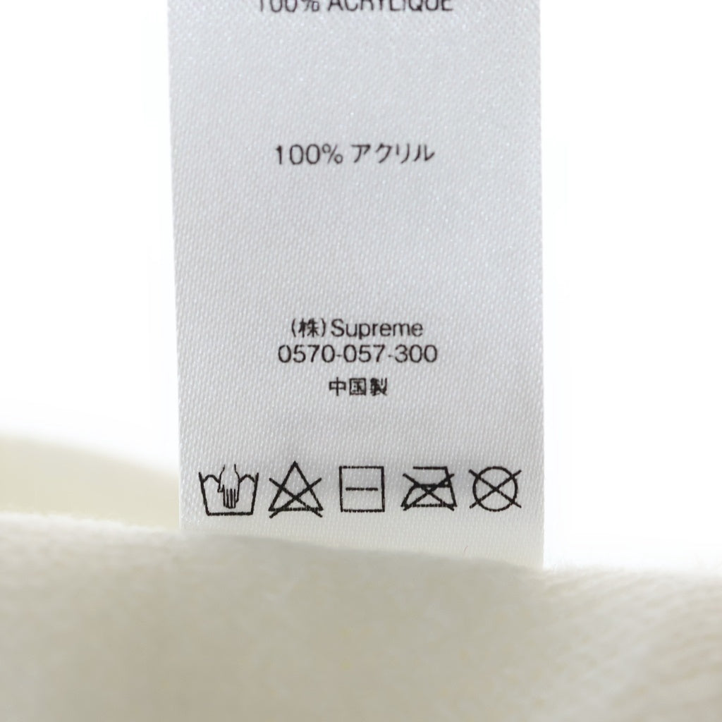 SUPREME(シュプリーム) 19SS Tonal Logo Beanie トナル ロゴビーニー ニットキャップ 帽子 ホワイト