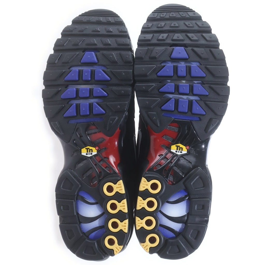 NIKE(ナイキ) AIR MAX PLUS 25TH ANNIVERSARY FV0393-001 エアマックス プラス 25周年記念 ローカットスニーカー マルチ US9.5/27.5cm FV0393-001