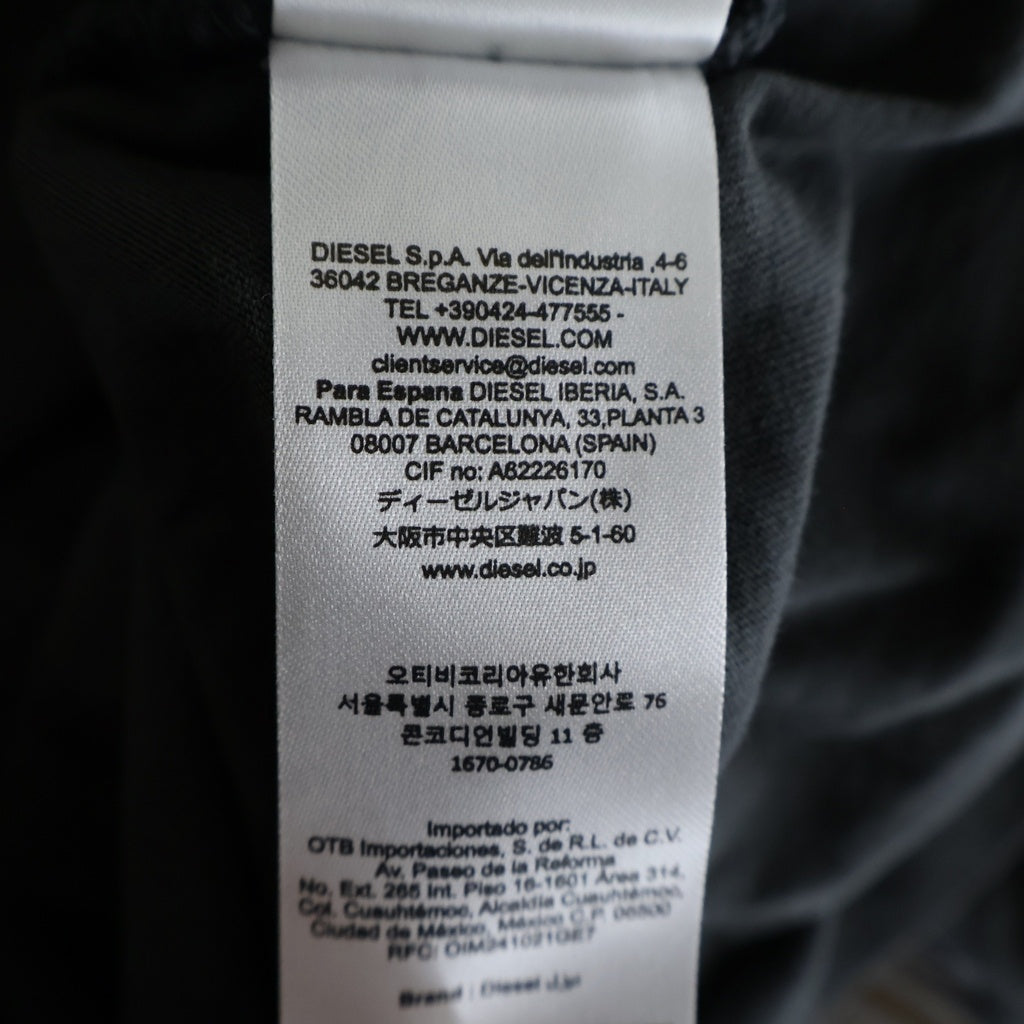 DIESEL(ディーゼル) T-BOXT-LS-HOSHI ホシ チェーンロゴプリント クルーネック ロングスリーブ 長袖Tシャツカットソー チャコール P01544