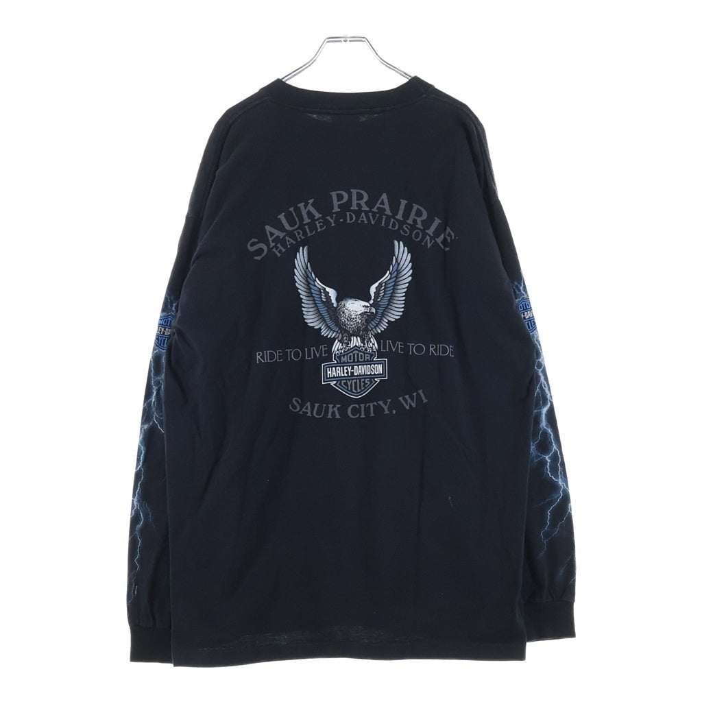 HARLEY DAVIDSON(ハーレーダビッドソン) 90S VINTAGE ヴィンテージ サンダー ロゴプリント 長袖Tシャツ カットソー ブラック