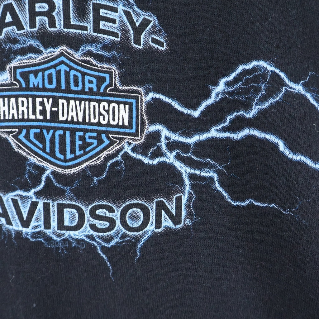 HARLEY DAVIDSON(ハーレーダビッドソン) 90S VINTAGE ヴィンテージ サンダー ロゴプリント 長袖Tシャツ カットソー ブラック