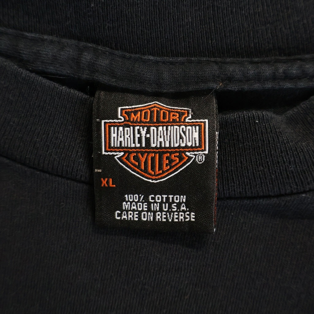 HARLEY DAVIDSON(ハーレーダビッドソン) 90S VINTAGE ヴィンテージ サンダー ロゴプリント 長袖Tシャツ カットソー ブラック