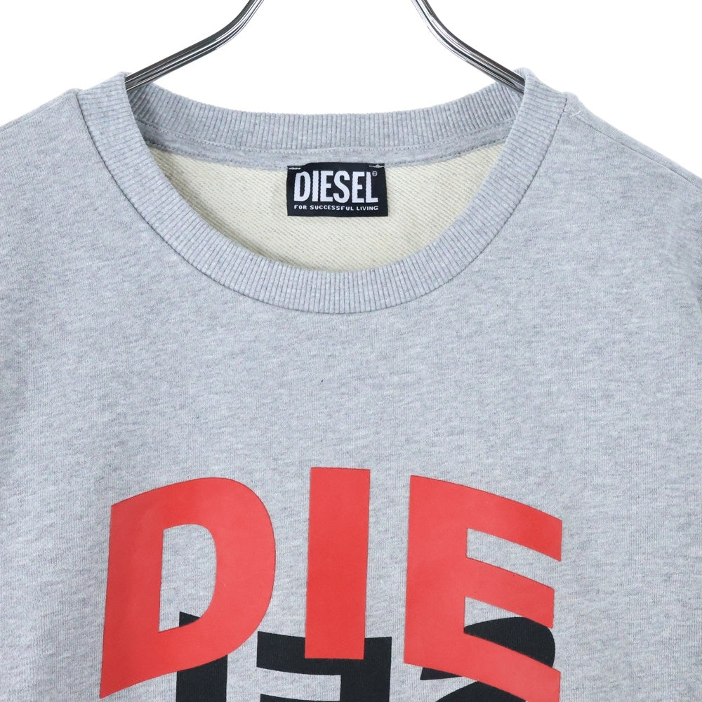 DIESEL(ディーゼル) ミラーロゴ 長袖スウェット グレー A00809