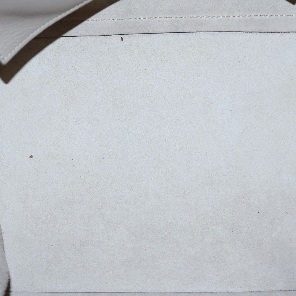 CELINE(セリーヌ) ビックバック スモール ハンドバッグ ベージュ レザー シルバー金具 レディース