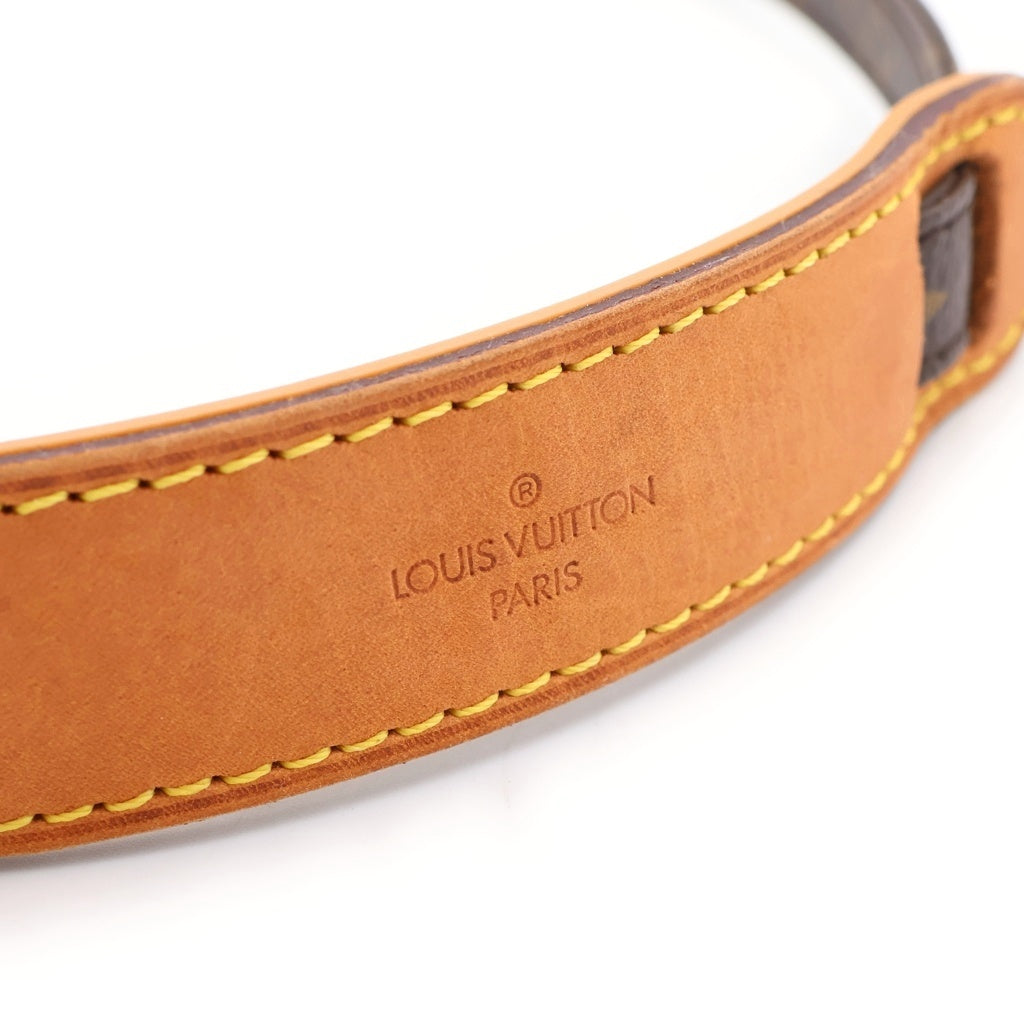 LOUIS VUITTON(ルイヴィトン) モノグラム ダヌーブ ショルダーバッグ ミニバッグ 斜め掛けバッグ ブラウン PVCレザー M45266 ゴールド金具 レディース