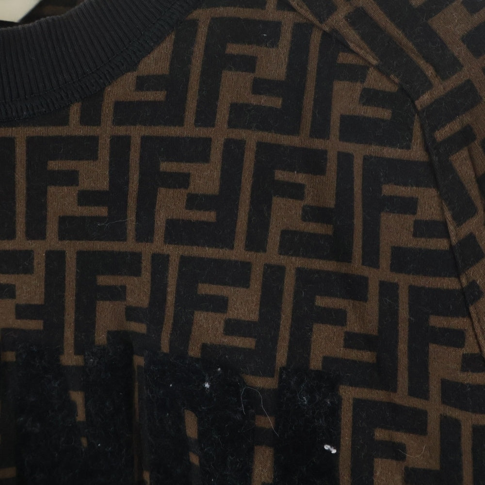 FENDI(フェンディ) ズッカ総柄 ロゴ刺繍 フロッキープリント クルーネック プルオーバー スウェットトレーナー ブラウン FS7102 レディース