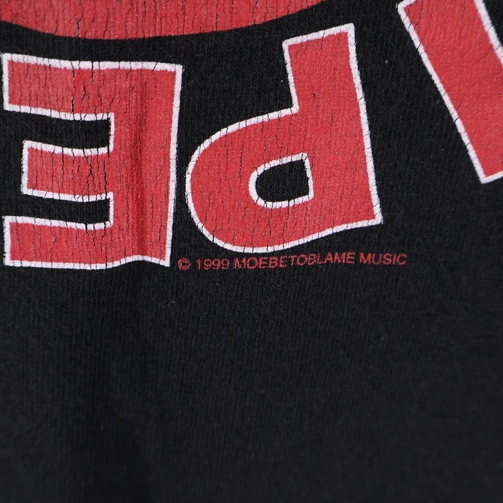 VINTAGE(ヴィンテージ) 90S Red Hot Chili Peppers Californication Dack レッドホットチリペッパーズ ダック プリント 半袖Tシャツ カットソー ブラック