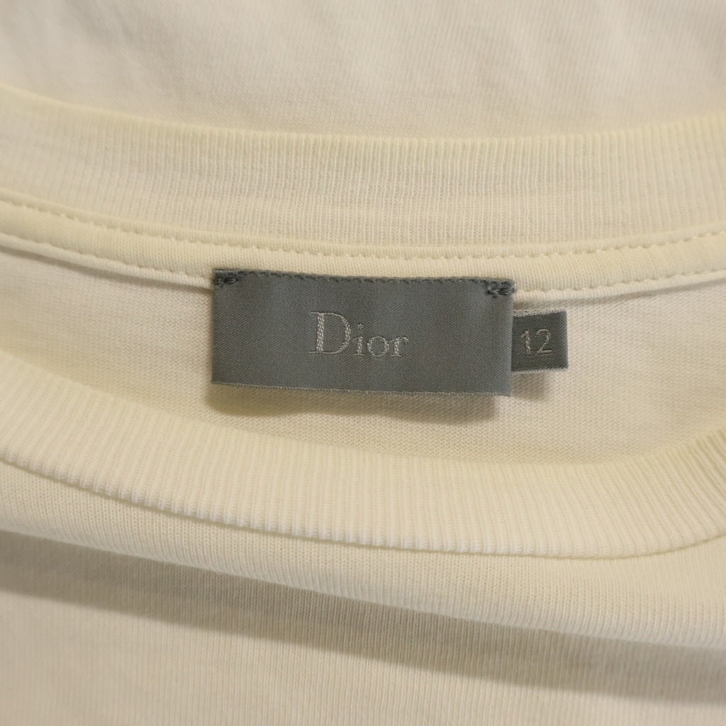 Christian Dior(クリスチャンディオール) ×Kaws カウズ ハチ刺繍 ロゴプリント クルーネック 半袖Tシャツ カットソー ホワイト 9EBO23TEEA