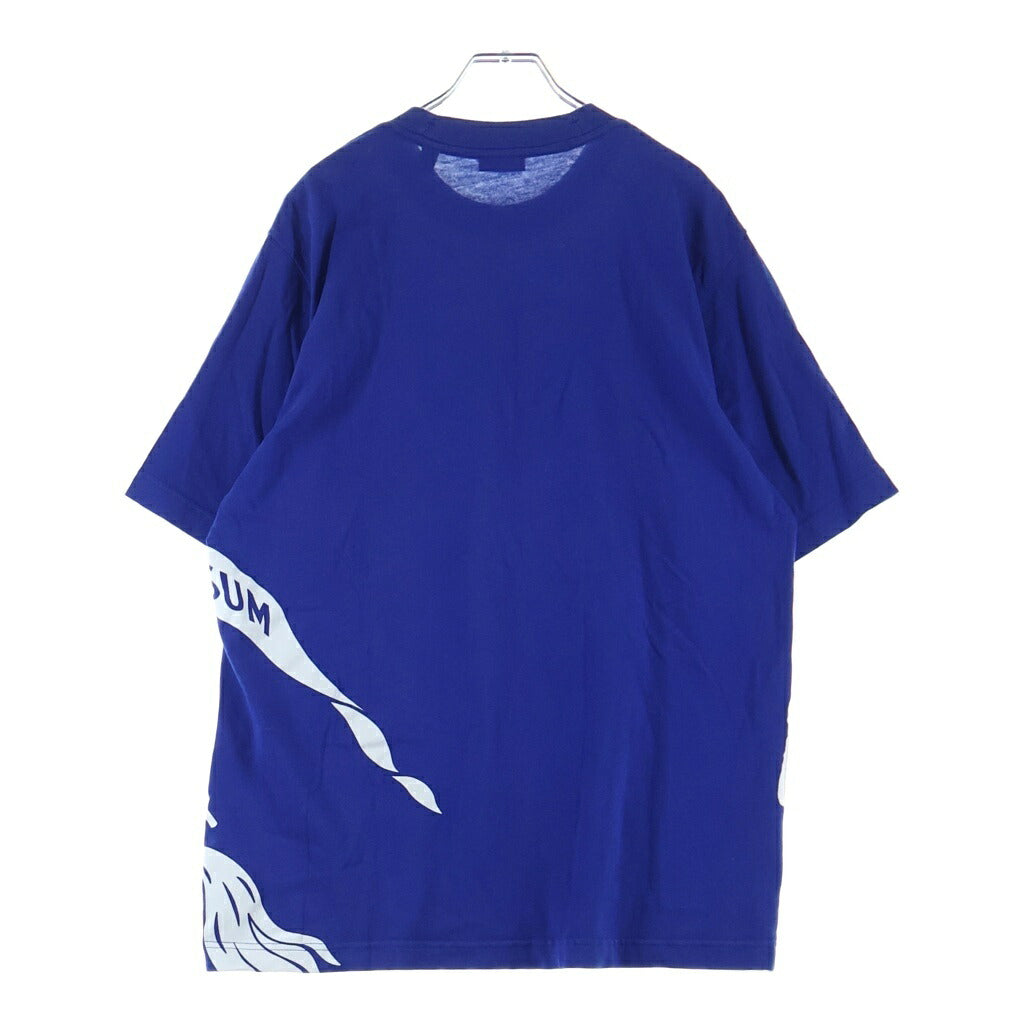 BURBERRY(バーバリー) フロントビッグプリント クルーネック 半袖カットソー Tシャツ ブルー/ホワイト 8089743